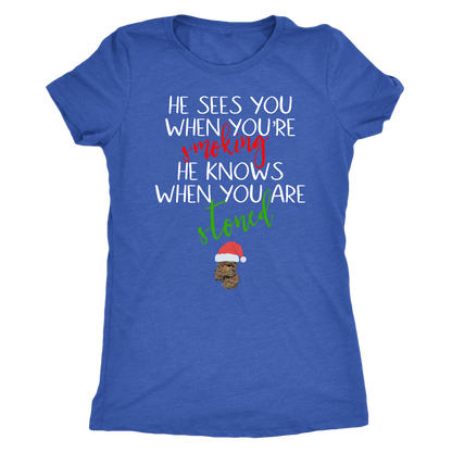 Stoner Christmas Apparel: He Sees You When You’re Smoking Men’s T-shirt - Gracious Concepts